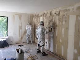 Best Comprehensive Air Testing for Mold Contaminants  in Lanai City, HI